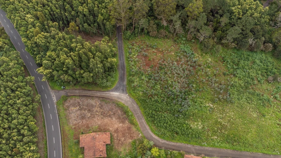 Terreno para Venda em Santa Cruz Foto 8