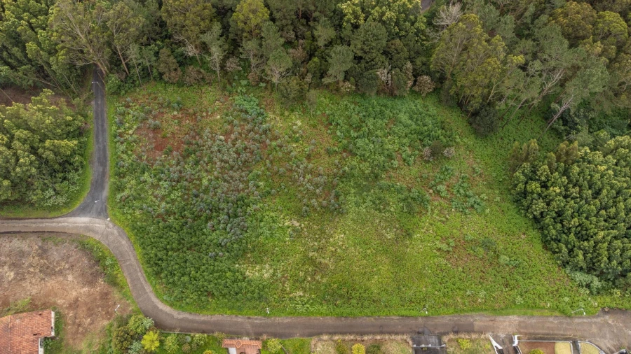 Terreno para Venda em Santa Cruz Foto 12