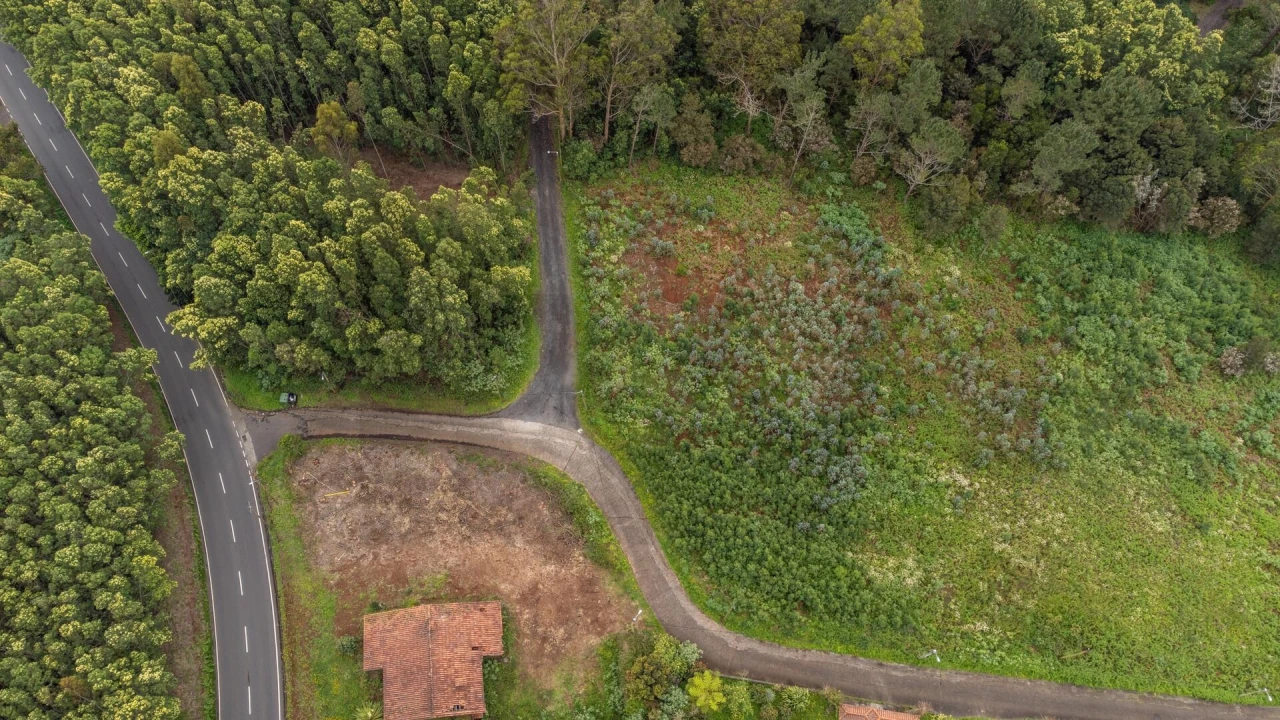Terreno para Venda em Santa Cruz Foto 8