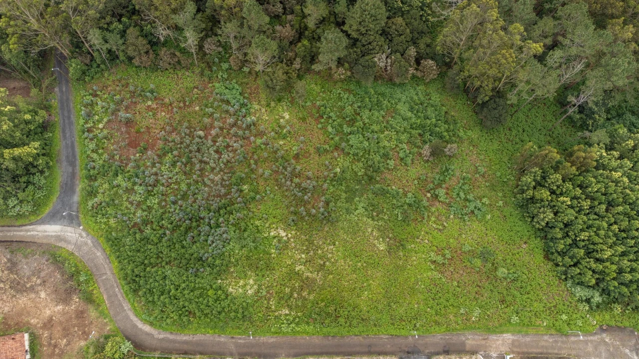 Terreno para Venda em Santa Cruz Foto 14