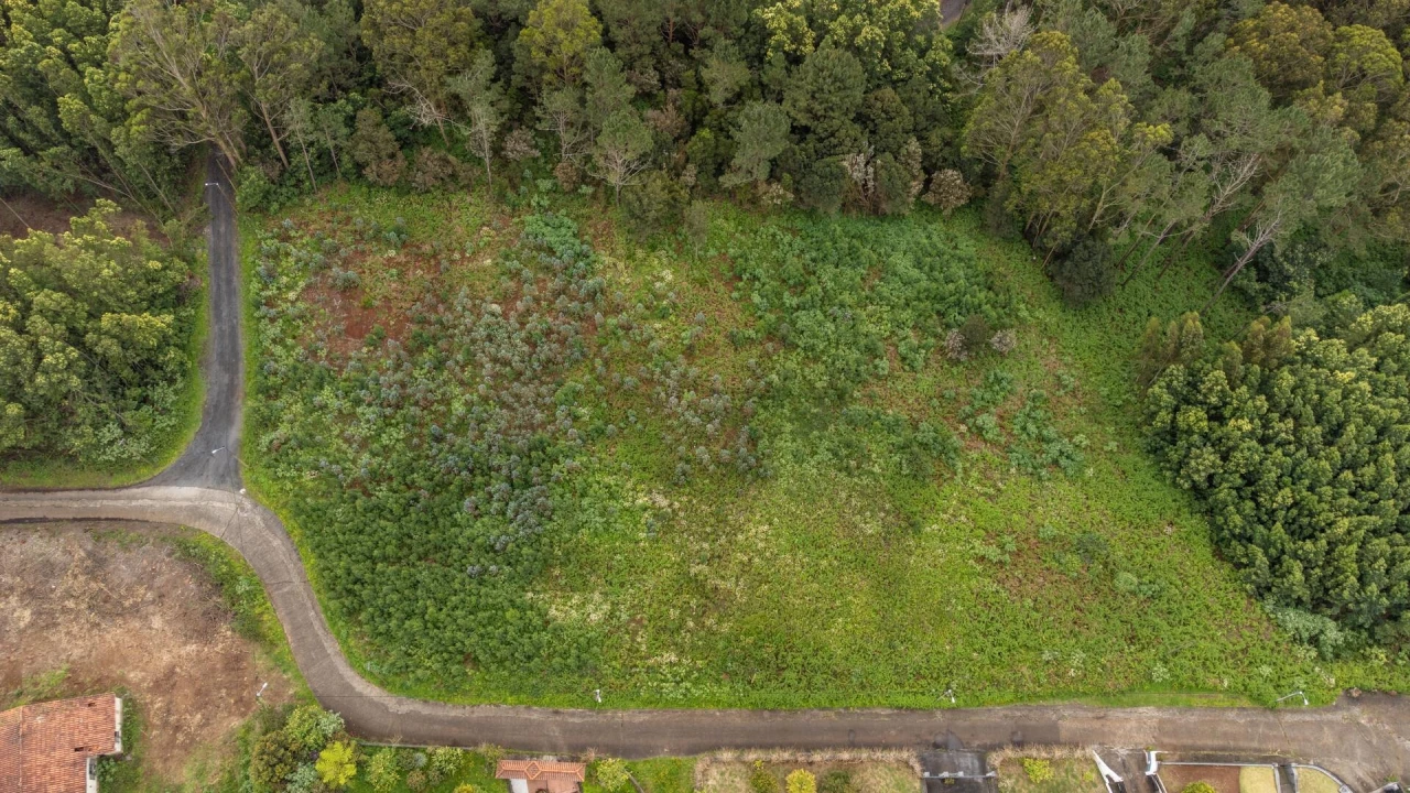 Terreno para Venda em Santa Cruz Foto 12
