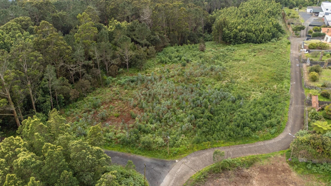 Terreno para Venda em Santa Cruz Foto 31