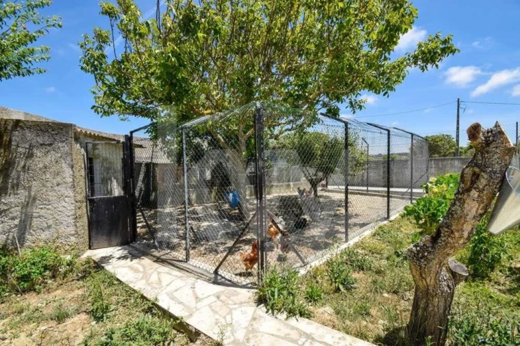 Moradia T4 para Venda em Santa Maria e São Miguel, São Martinho, São Pedro Penaferrim Foto 42