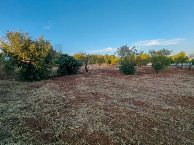 Moradia T3 para Venda em Pechão Foto 18