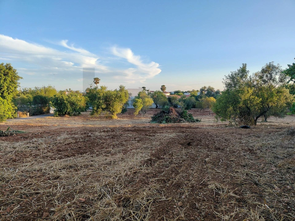 Moradia T3 para Venda em Pechão Foto 17