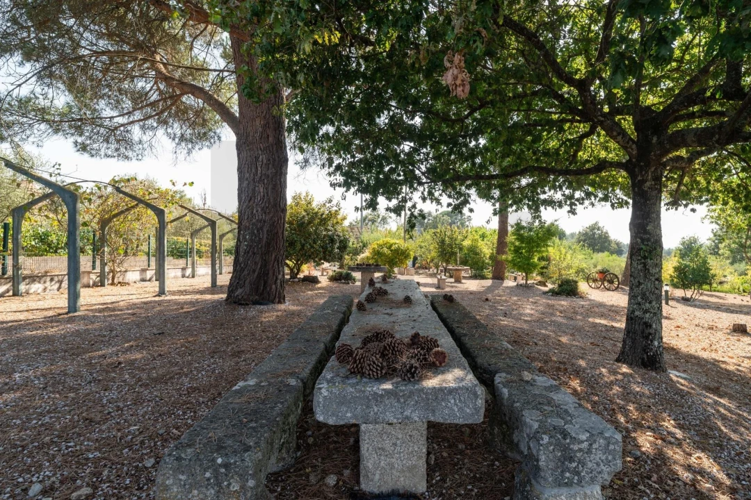 Quinta T5 para Venda em Lagos da Beira e Lajeosa Foto 44