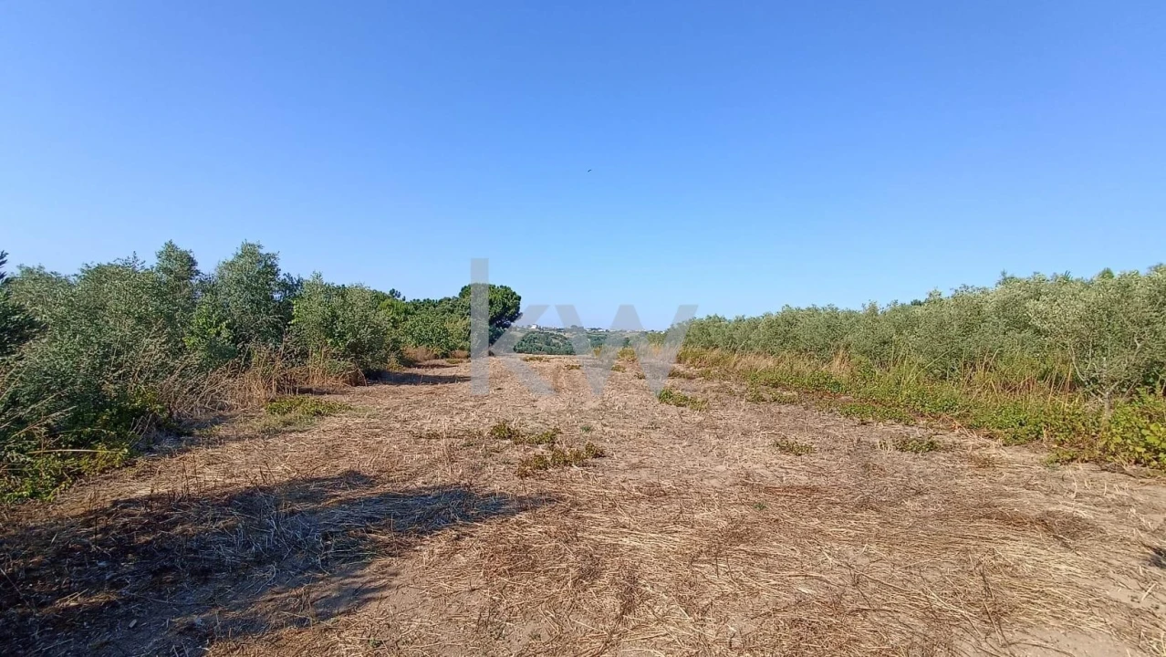 Terreno para Venda em Vale do Paraiso Foto 11