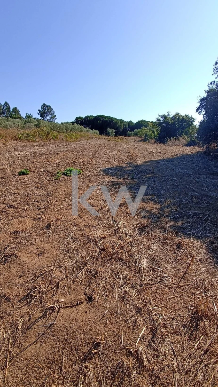 Terreno para Venda em Vale do Paraiso Foto 14