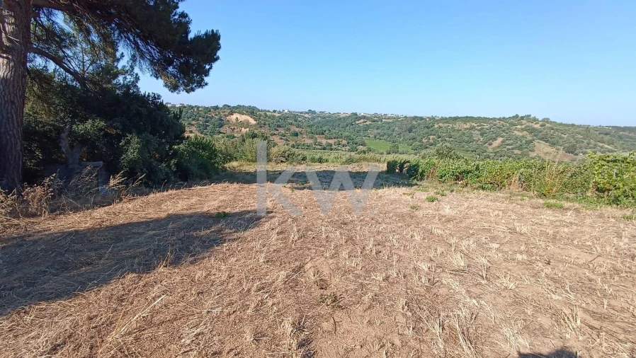 Terreno para Venda em Vale do Paraiso Foto 7