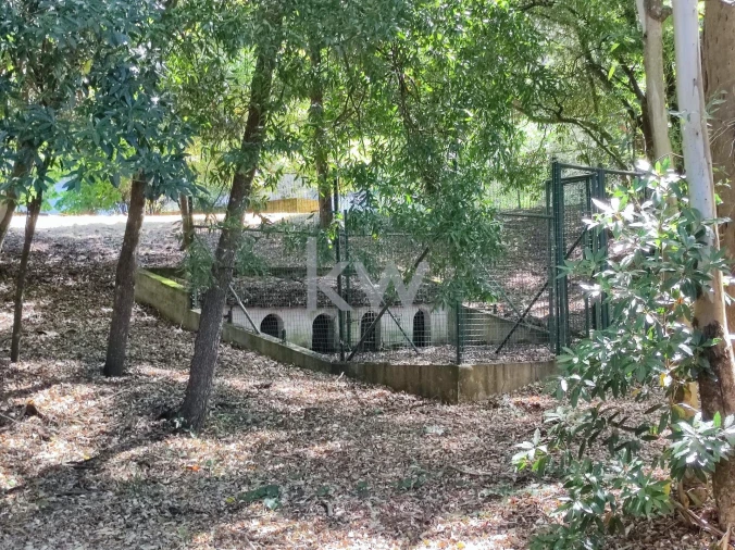 Moradia T5 para Venda em Queluz e Belas Foto 97