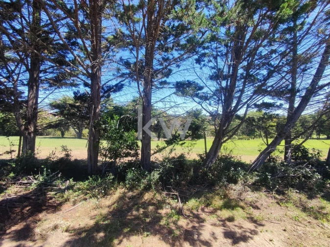 Moradia T5 para Venda em Queluz e Belas Foto 142