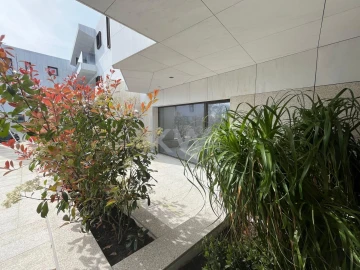 Apartamento T3 para Venda em Subportela, Deocriste e Portela Susã