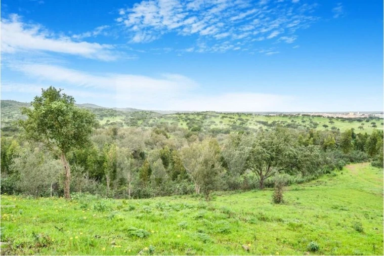 Quinta para Venda em Grândola e Santa Margarida da Serra Foto 9