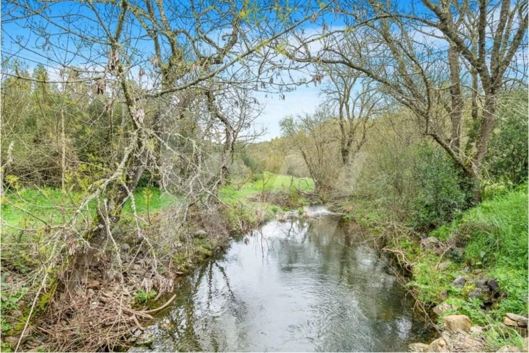 Quinta para Venda em Grândola e Santa Margarida da Serra Foto 5