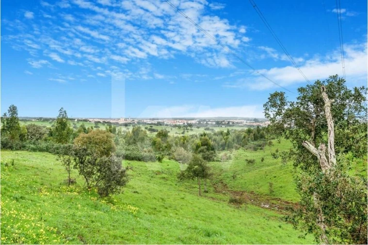Quinta para Venda em Grândola e Santa Margarida da Serra Foto 11