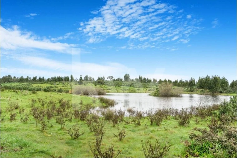 Quinta para Venda em Grândola e Santa Margarida da Serra Foto 13