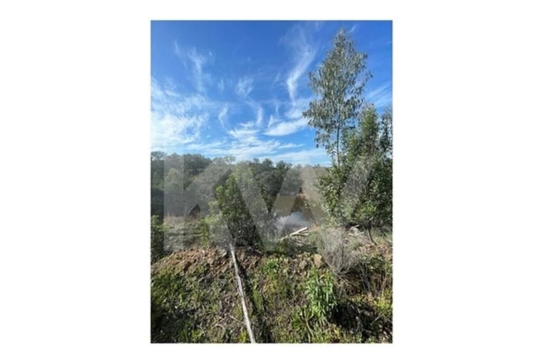 Quinta para Venda em Grândola e Santa Margarida da Serra Foto 40