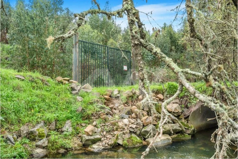 Quinta para Venda em Grândola e Santa Margarida da Serra Foto 4