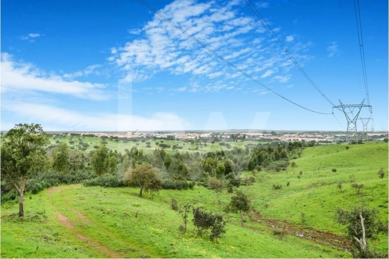 Quinta para Venda em Grândola e Santa Margarida da Serra Foto 10