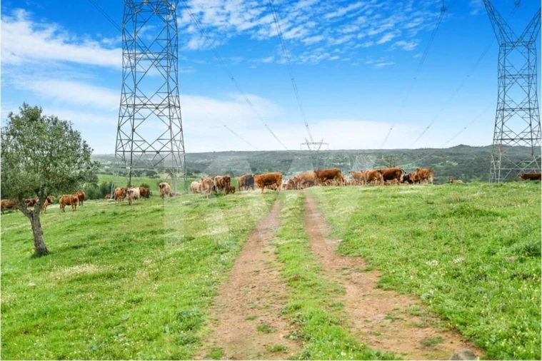 Quinta para Venda em Grândola e Santa Margarida da Serra Foto 20