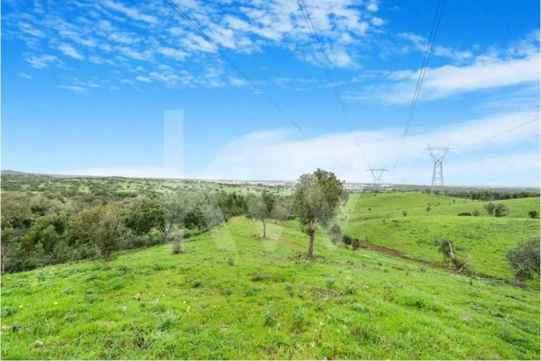 Quinta para Venda em Grândola e Santa Margarida da Serra Foto 8