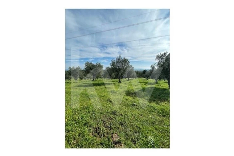 Quinta para Venda em Grândola e Santa Margarida da Serra Foto 33