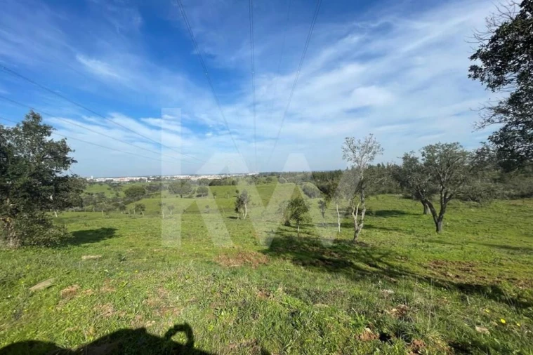Quinta para Venda em Grândola e Santa Margarida da Serra Foto 27