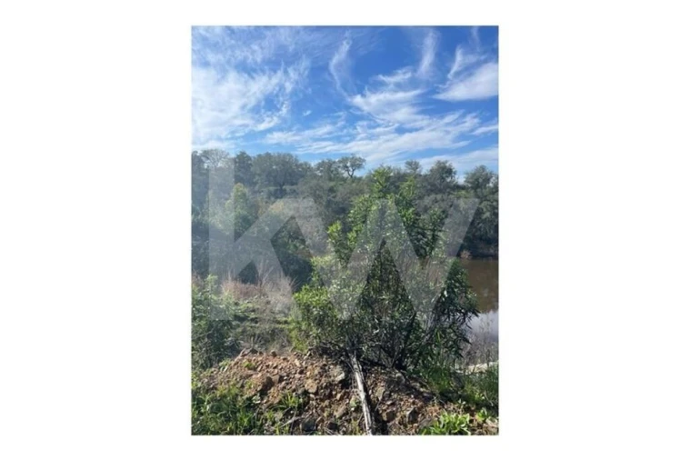 Quinta para Venda em Grândola e Santa Margarida da Serra Foto 39