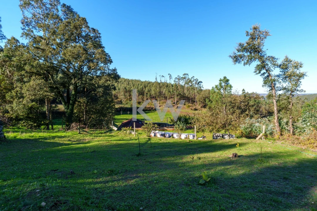 Quinta T2 para Venda em Talhadas Foto 35