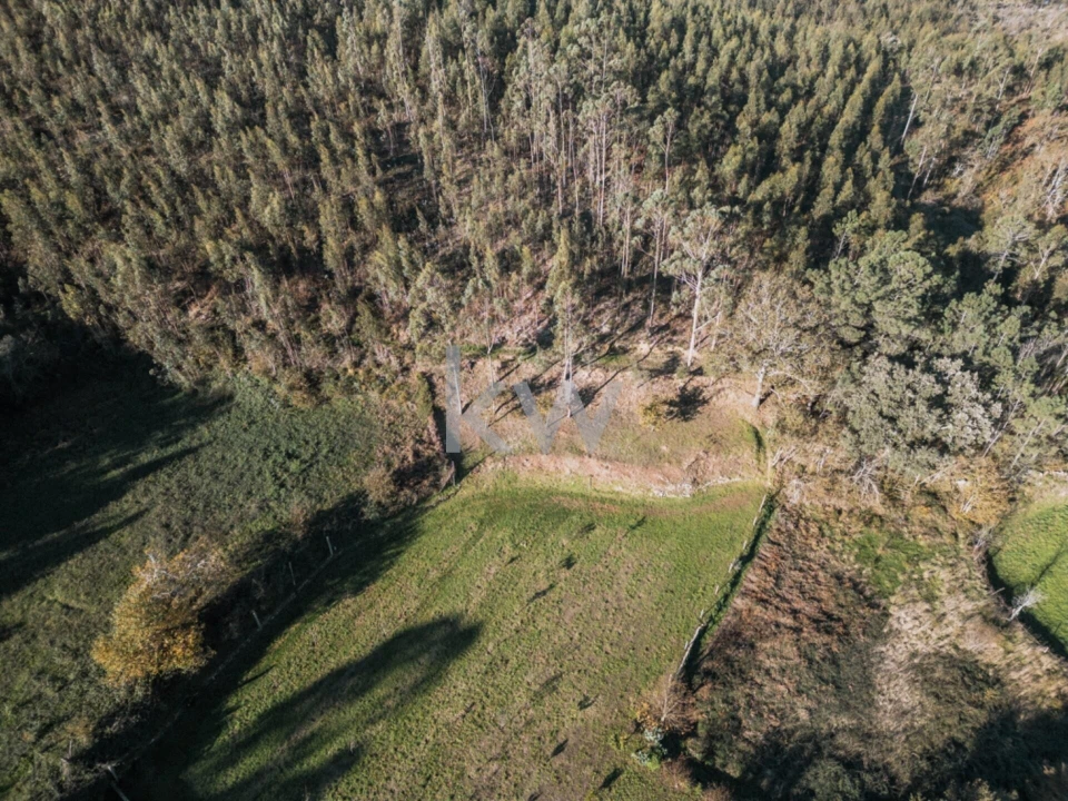 Quinta T2 para Venda em Talhadas Foto 20