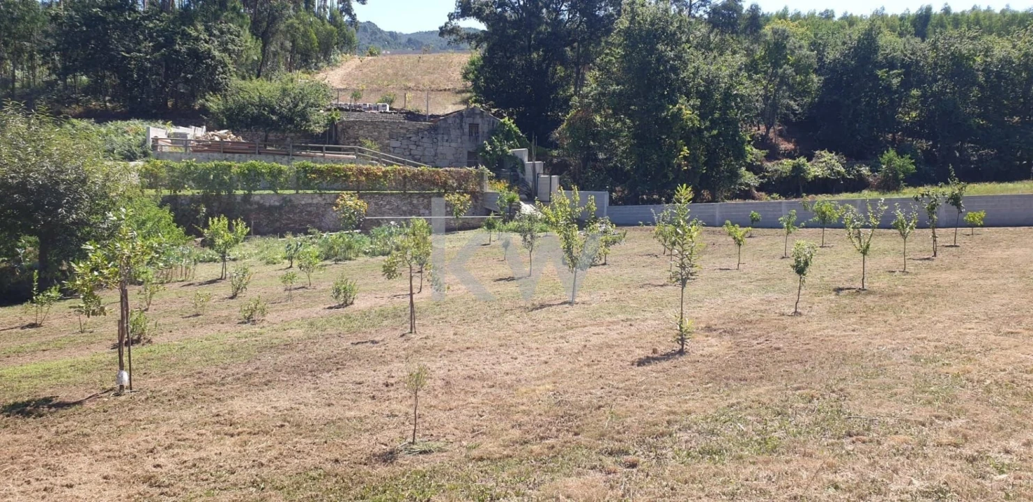 Quinta T2 para Venda em Talhadas Foto 44