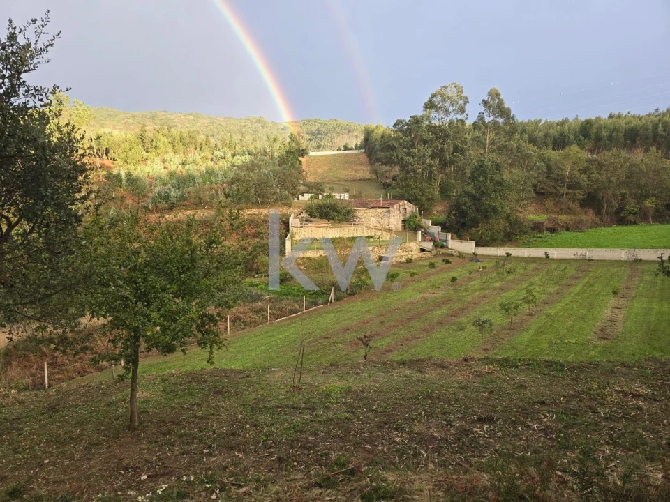 Quinta T2 para Venda em Talhadas Foto 48