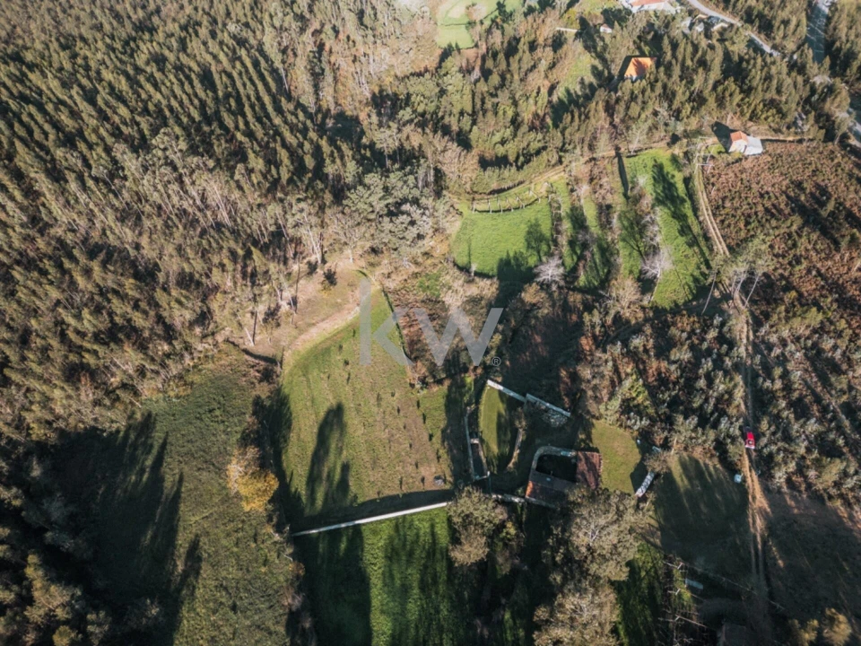 Quinta T2 para Venda em Talhadas Foto 21