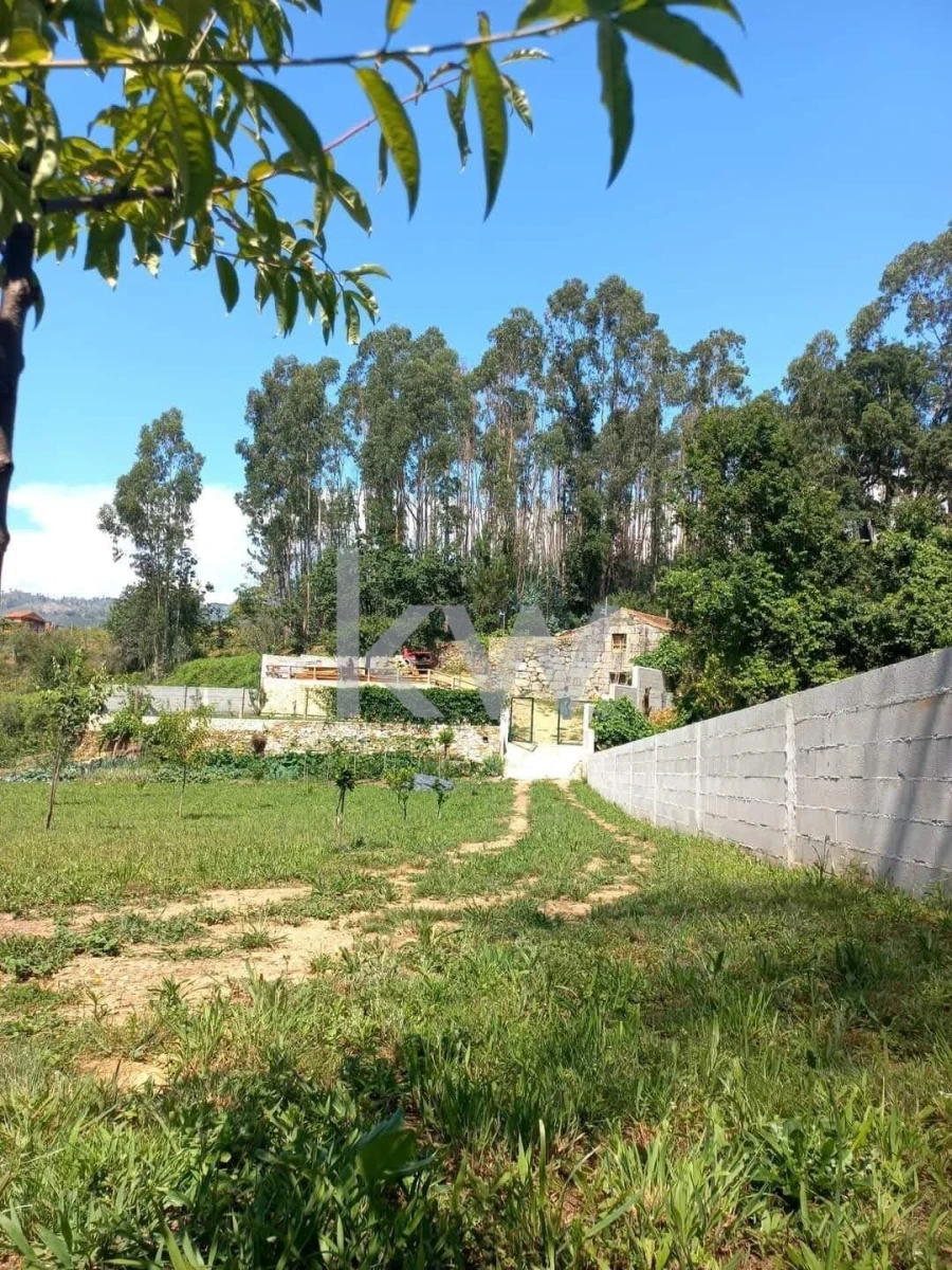 Quinta T2 para Venda em Talhadas Foto 40