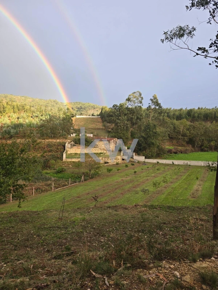 Quinta T2 para Venda em Talhadas Foto 47