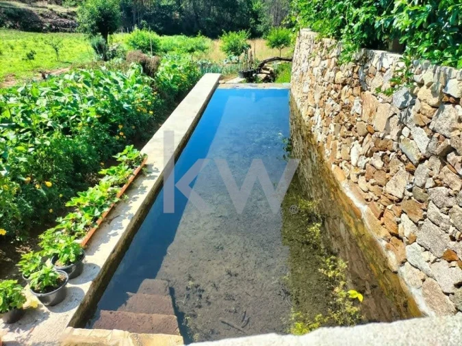 Quinta T2 para Venda em Talhadas Foto 42