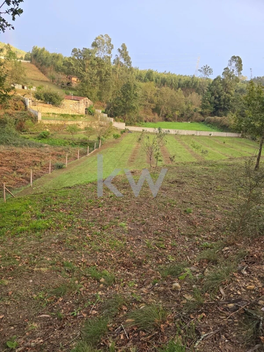 Quinta T2 para Venda em Talhadas Foto 46