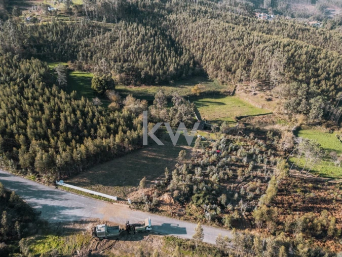 Quinta T2 para Venda em Talhadas Foto 23