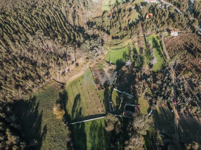 Quinta T2 para Venda em Talhadas Foto 21