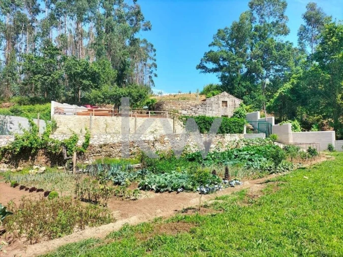 Quinta T2 para Venda em Talhadas Foto 41