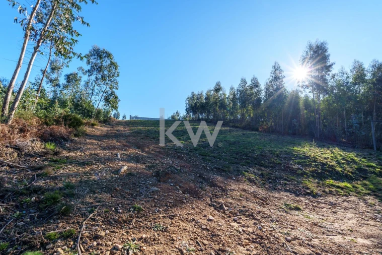 Quinta T2 para Venda em Talhadas Foto 34