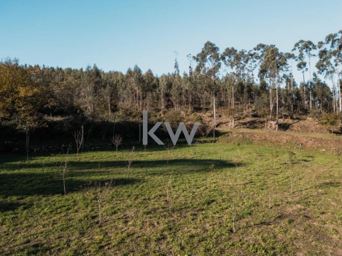 Quinta T2 para Venda em Talhadas Foto 19