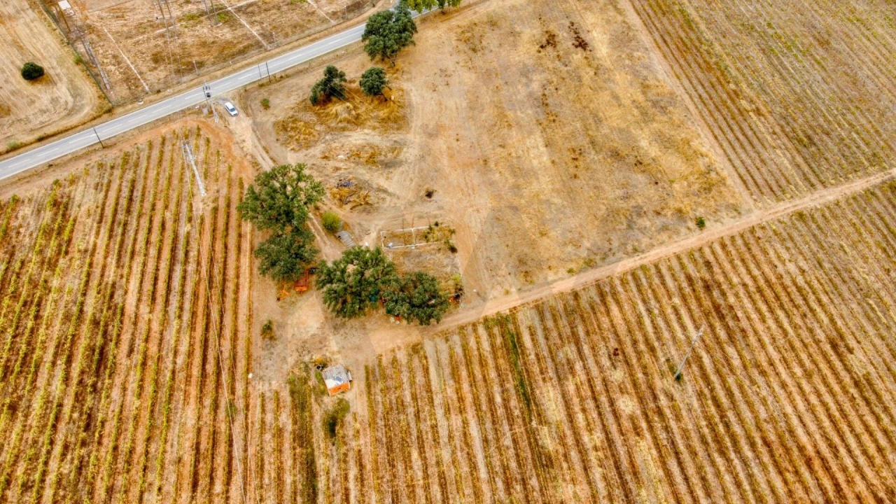 Terreno para Venda em Terena (São Pedro) Foto 7