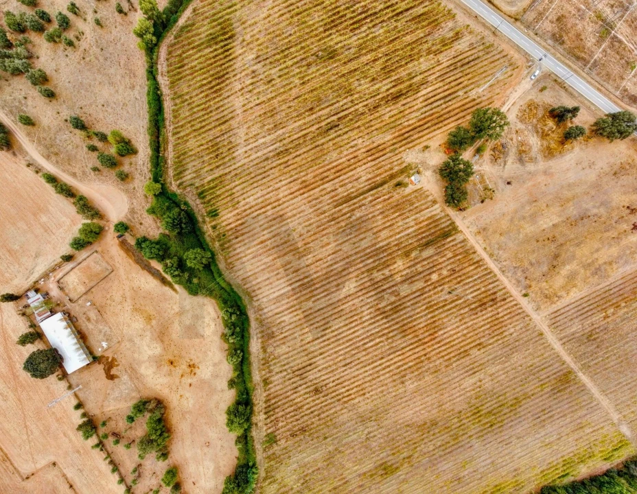 Terreno para Venda em Terena (São Pedro) Foto 14