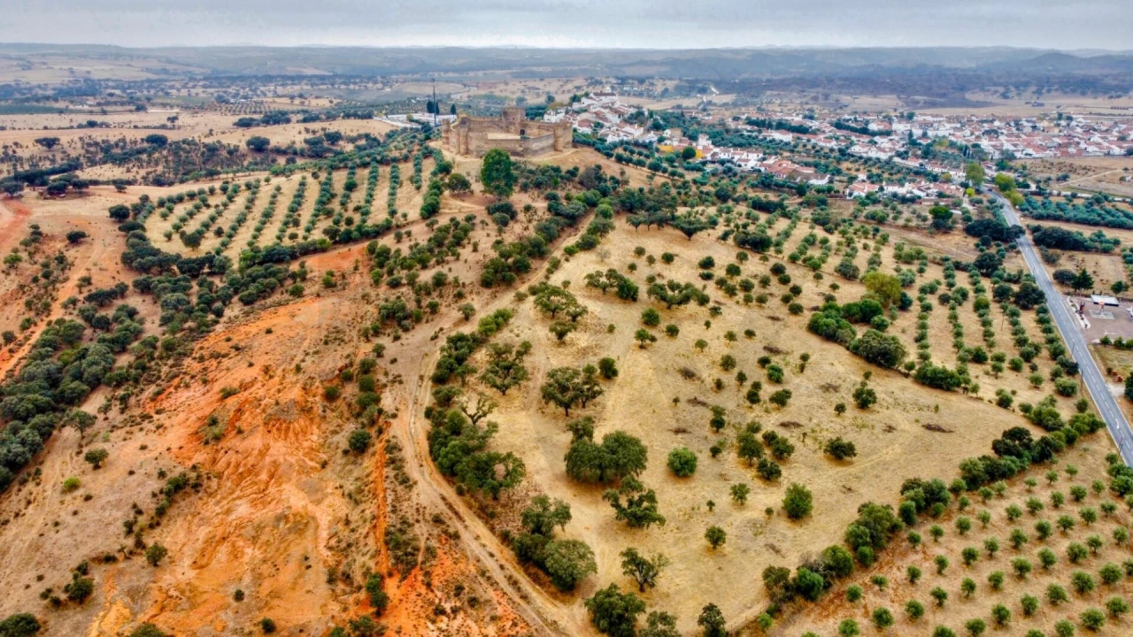 Terreno para Venda em Terena (São Pedro) Foto 8
