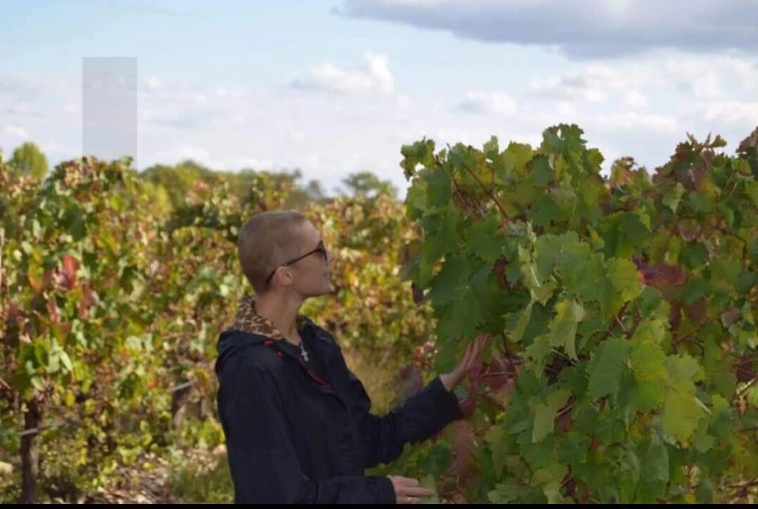 Terreno para Venda em Terena (São Pedro) Foto 11