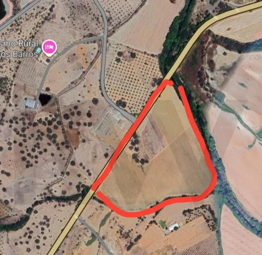 Terreno para Venda em Terena (São Pedro) Foto 16