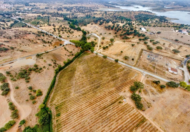 Terreno para Venda em Terena (São Pedro) Foto 13