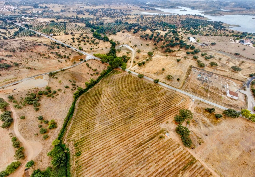 Terreno para Venda em Terena (São Pedro) Foto 13