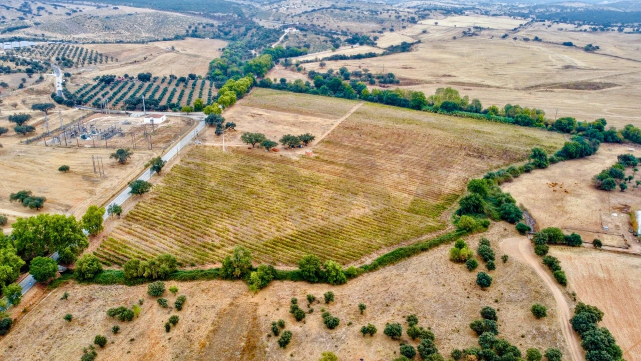 Terreno para Venda em Terena (São Pedro) Foto 5